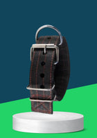 PET ADJUSTABLE COLLAR