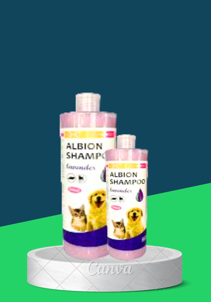 ALBION SHAMPOO