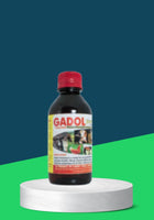 GADOL