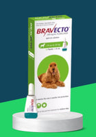 BRAVECTO SPOT-ON 10-20KG (500MG)