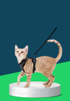 CAT HARNESS