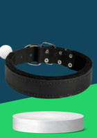 PADDED COLLAR IBM (B)