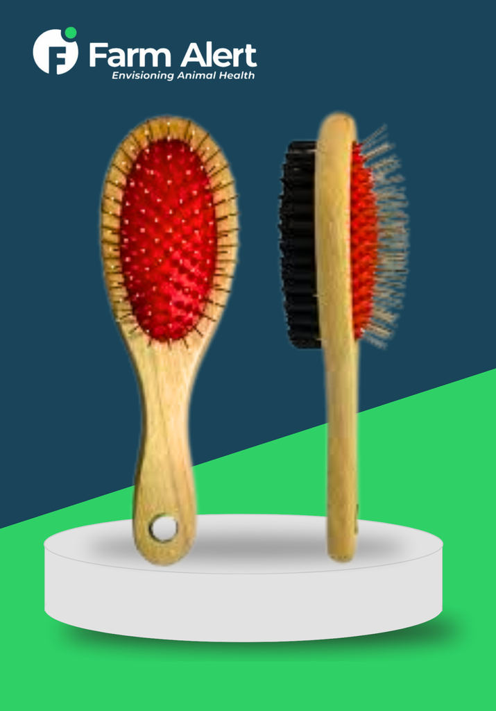 DOUBLE SIDED WOODEN BRUSH
