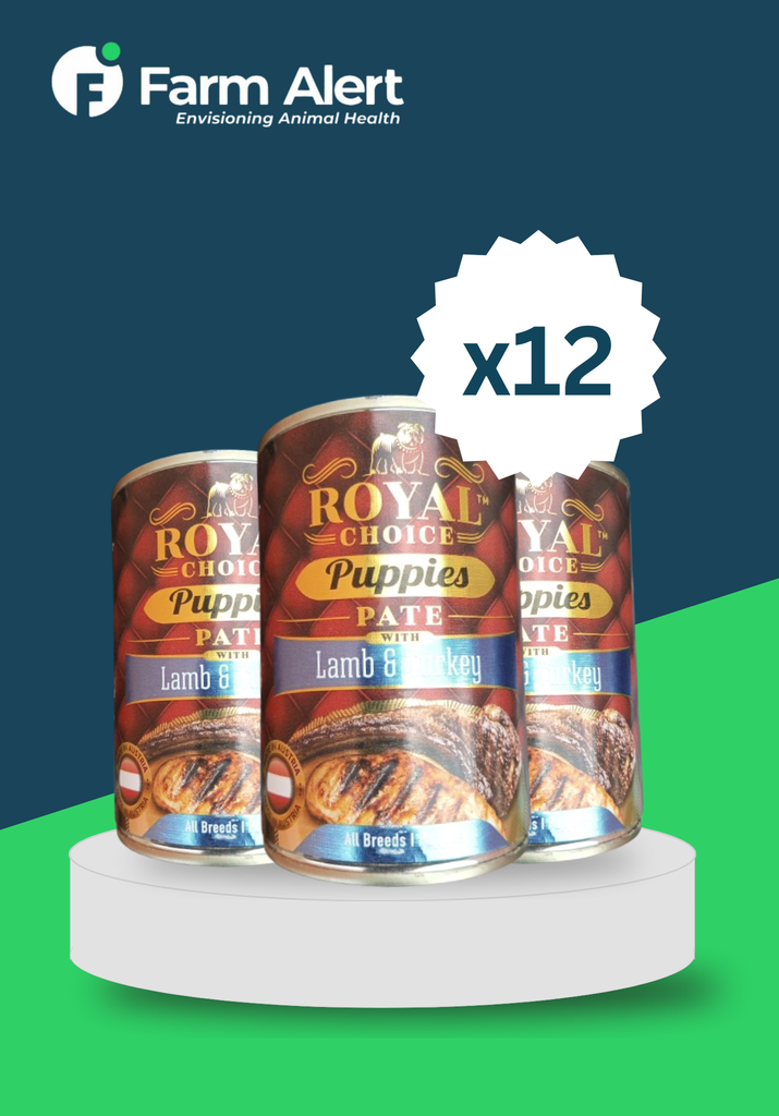 ROYAL CHOICE PUPPY PATE (LAMB&TURKEY) *12