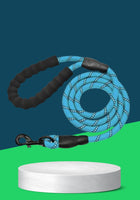 REFLECTIVE LEASH (B)