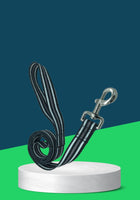 NUNBEL LEASH GREYLINE (B)