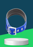 PADDED COLLAR (M)