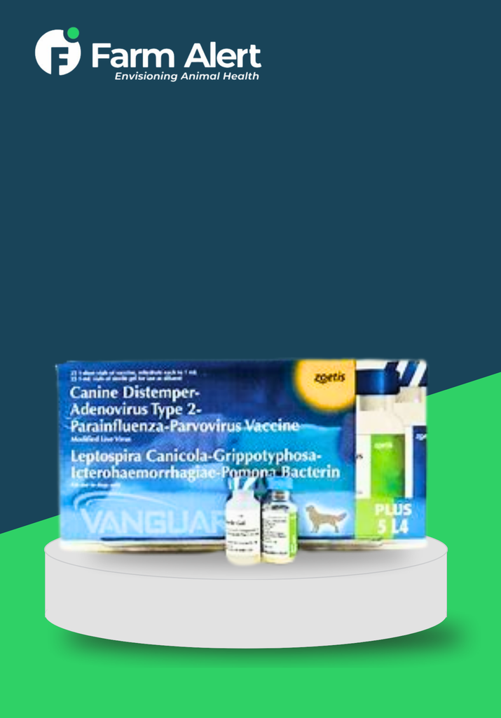 VANGUARD PLUS (DHLPP)