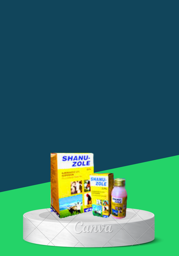 SHANU-ZOLE 500ML 